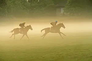 Jockey: Horses - two racing on misty morning