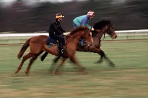 Racing: HORSES & RIDERS - GALLOPING