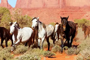Sisters: Horses - The Three Sisters