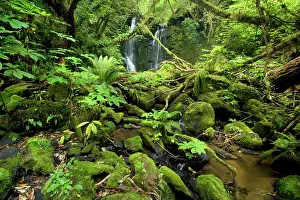 Amidst: Horseshoe Falls - beautiful waterfall and brook