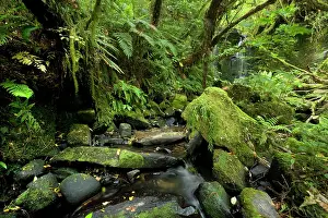 Amidst: Horseshoe Falls - beautiful waterfall and brook