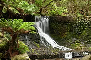 Derwent: Horseshoe Falls, Mount Field National Park