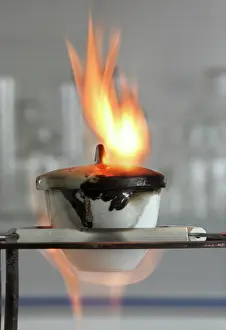 Heating: Horsetail