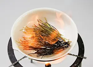 Heating: Horsetail
