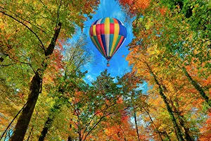 Ride: Hot air balloon over the forest, between the trees