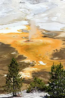 Geysers: Hot Spring - Porcelain Basin - part of the Norris