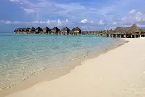 Huts: Hotel of Vilureef Resort, Maledives