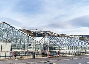 Warmth: Hothouses, greenhouses in Hveragerdi in