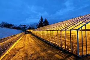Warmth: Hothouses, greenhouses in Hveragerdi in