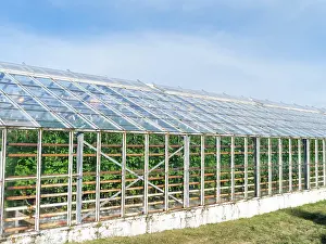 Warmth: Hothouses, greenhouses in Hveragerdi in