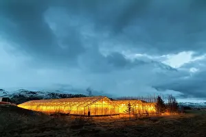 Warmth: Hothouses, greenhouses in Hveragerdi in
