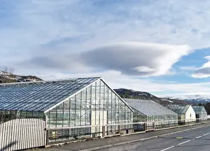 Warmth: Hothouses, greenhouses in Hveragerdi in