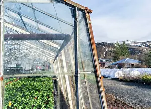 Warmth: Hothouses, greenhouses in Hveragerdi in