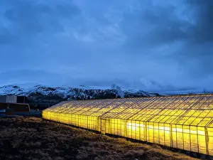 Warmth: Hothouses, greenhouses in Hveragerdi in
