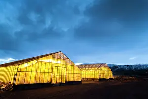 Warmth: Hothouses, greenhouses in Hveragerdi in