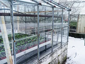 Warmth: Hothouses, greenhouses in Hveragerdi in