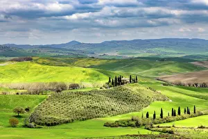 Tuscany: House with cypresses in spring in Val d Orcia, Tuscany, I