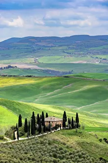 Tuscany: House with cypresses in spring in Val d Orcia, Tuscany, I
