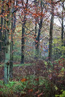 Duinreservaat: House in deciduous forest with autumn colors