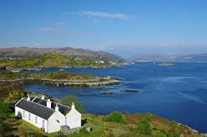 Gorse: House, flowering gorse and coastal landscape, Kyle