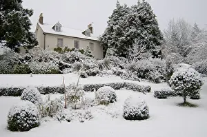 Georgian: House and garden in snow