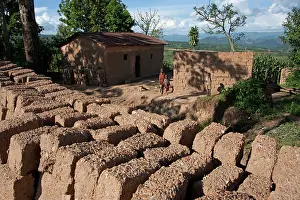 Bricks: House - with mud bricks