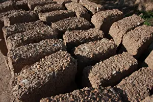 Bricks: House - with mud bricks
