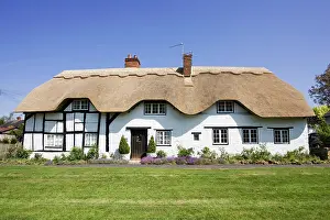 Thatch: House - Newly thatched 16th century black and white