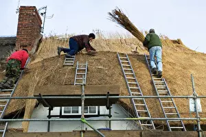 Thatch: House - Rural craftsmen on roof thatching cottage