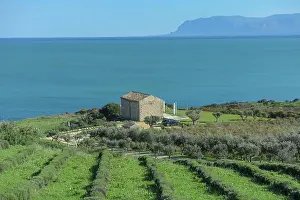 Home: House by the sea near Scopello, Sicily, Italy, Europe