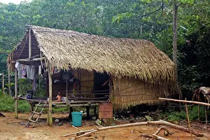 Stilts: House on stilts on a hillside Amazon river basin