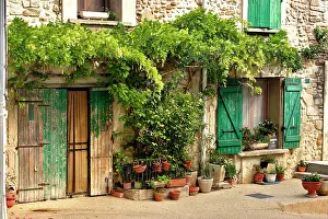 Flowerpots: House - Visan - Provence - France