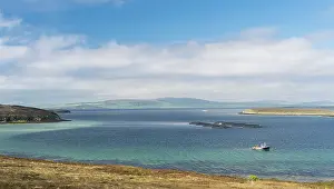 Orkney: Hoy island, view over Scapa Flow with salmon