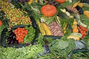 Harvests: Huge fruit and vegetable display, Cider Fayre