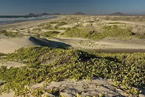 Cabo: Huge sand dune system on Cape St. Quintin/Cabo San Quintin