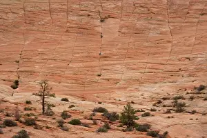 Checkerboard: Huge sandstone cliff at checkerboard mesa