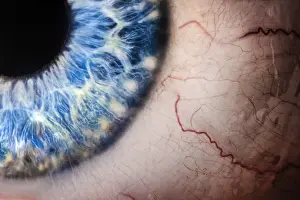 Connective: detail of human eye