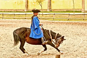 Precision: Hungary, Kalcosa; Magyar Cowboy; Horse Bowing