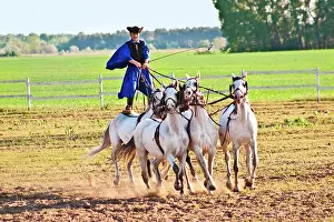 Clothes: Hungary, Kalocsa, Csikos Hungarian horse