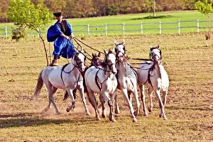 Clothes: Hungary, Kalocsa, Csikos Hungarian horse