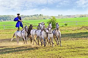 Clothes: Hungary, Kalocsa, Csikos Hungarian horse