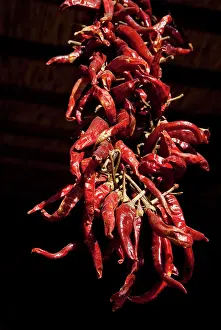 Pepper: Hungary, Kalocsa, Puszta region. Largest