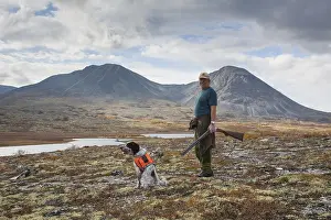 Dovre: Hunter with English Setter in the mountains - Grouse