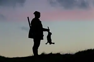 Hunters: Hunter hare Hunter with dead brown Hare silhouetted agai