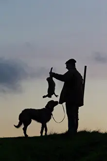 Hunters: Hunter hare Hunter with dead brown Hare and Weimaraner d
