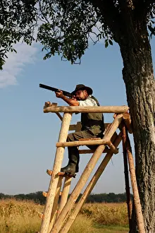Guns: Hunting / shooting - man sitting in lookout with gun