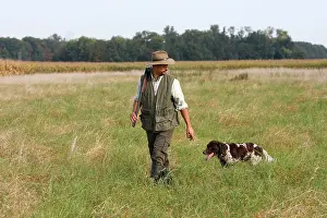 Guns: Hunting / shooting - man with Small Munsterlander