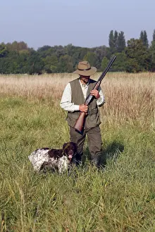 Hunted: Hunting small game with small animal Alsace France