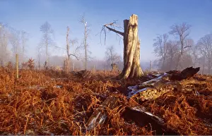 Fallen: HURRICANE