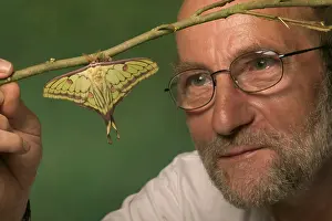 Moons: Hybrid of the moths Spanish Moon Moth, Graellsia